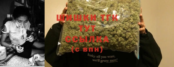 прущие грибы Арсеньев