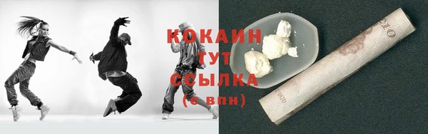 прущие грибы Арсеньев