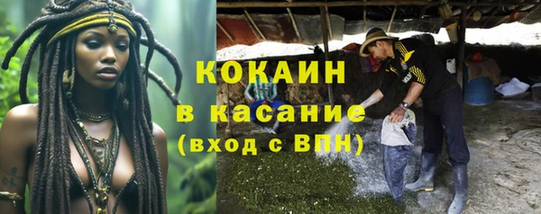 ПСИЛОЦИБИНОВЫЕ ГРИБЫ Алзамай